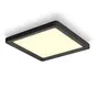Image de Philips Hue White Ambiance Panneau De Plafond Tento Carré - Petit - Noir