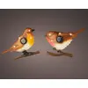 Image de Oiseau Soleil Lumineo Décoration Solaire Lumineuse De Jardin - Lumineo