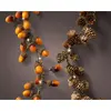 Image de Guirlande Microled 110cm 15 Leds Modèles Assortis Ananas Ou Glands