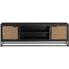 Image de vidaXL Armoire TV 120x30x40 cm en bois massif de manguier