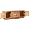 Image de vidaXL Armoire TV 120x30x40 cm Bois de manguier rugueux