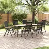 Image de vidaXL Chaises de jardin pliantes 6 pcs. Textilène noir
