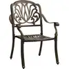 Image de vidaXL Chaises de jardin 2 pcs. Fonte d'aluminium Bronzes
