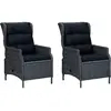 Image de vidaXL Salon de jardin 9 pièces avec coussins Poly rotin gris foncé