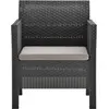 Image de vidaXL Chaise de jardin avec coussin Anthracite 63x65x76 cm PP Rotin