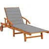 Image de vidaXL Bain de soleil avec support acacia massif