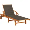 Image de vidaXL Bain de soleil avec support acacia massif