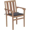 Image de vidaXL Chaises de jardin 2 pcs avec coussins anthracite bois massif teck
