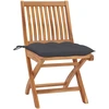 Image de vidaXL Chaises de jardin 2 pcs avec coussins anthracite bois massif teck