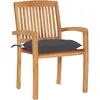 Image de vidaXL Chaises de jardin 2 pcs avec coussins anthracite bois massif teck