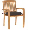 Image de vidaXL Chaises de jardin 2 pcs. avec coussin taupe teck massif