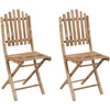 Image de vidaXL Chaises de jardin pliantes 2 pcs. avec coussins bambou
