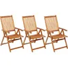 Image de vidaXL Chaises de jardin pliantes 3 pcs. avec coussins en bois massif d'acacia