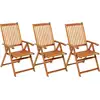 Image de vidaXL Chaises de jardin pliantes 3 pcs. avec coussins en bois massif d'acacia