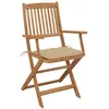 Image de vidaXL Chaises de jardin pliantes 2 pcs. avec coussins en bois massif d'acacia