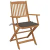 Image de vidaXL Chaises de jardin pliantes 2 pcs. avec coussins en bois massif d'acacia