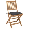 Image de vidaXL Chaises de jardin pliantes 2 pcs. avec coussins en bois massif d'acacia