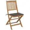 Image de vidaXL Chaises de jardin pliantes 4 pièces avec coussins en bois massif d'acacia