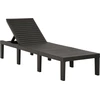Image de vidaXL Chaise longue avec support Plastique Anthracite