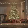 Image de vidaXL Guirlande lumineuse LED avec 300 LED blanc chaud 30 m