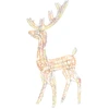 Image de vidaXL LED Renne Acrylique Décoration de Noël 140 LEDs 120 cm Coloré