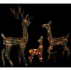 Image de vidaXL Famille de rennes LED Décoration de Noël Acrylique 300 LED Multicolore