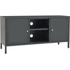 Image de vidaXL Armoire TV anthracite 105x35x52 cm Acier et verre