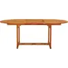 Image de vidaXL Table de jardin 200x100x75 cm en bois massif d'eucalyptus