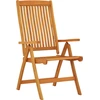 Image de vidaXL Chaises de jardin pliantes 2 pcs. Bois massif d'eucalyptus