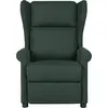 Image de vidaXL Fauteuil relax vert foncé Tissu