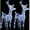 Image de vidaXL Rennes LED 2 pcs. Blanc froid 80 LEDs Acrylique