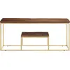 Image de vidaXL Table basse Golden inox et traverses en bois massif