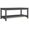 Image de vidaXL Table basse Gris 110x55x45 cm Pin massif