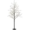 Image de Luca Lighting Arbre Illuminé Blanc Chaud H150xl80xl80cm