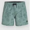 Image de O'Neill Mix & Match Cali Print 15'' Boardshort vert S