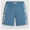 Image de O'Neill O'Riginals Side Panel 16" Boardshort bleu S