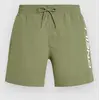 Image de O'Neill Cali 16'' Boardshort vert XS