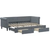 Image de vidaXL Lit de jour extensible avec tiroirs gris foncé 80x200 cm velours