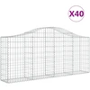 Image de vidaXL Gabions avec arc surélevé 40 pcs. 200x30x80/100cm Fer galvanisé