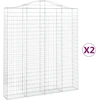 Image de vidaXL Gabions avec arc surélevé 2 pcs. 200x30x220/240cm Fer galvanisé