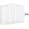 Image de vidaXL Gabions avec arc surélevé 40pcs. 200x50x140/160cm Fer galvanisé