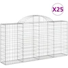 Image de vidaXL Gabions avec arc surélevé 25pcs. 200x30x100/120cm Fer galvanisé