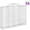 Image de vidaXL Gabions avec arc surélevé 5 pcs. 200x30x140/160cm Fer galvanisé