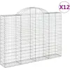 Image de vidaXL Gabions avec arc surélevé 12pcs 200x30x140/160cm Fer galvanisé