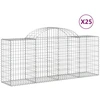 Image de vidaXL Gabions avec arc surélevé 25 pcs. 200x50x80/100cm Fer galvanisé