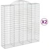 Image de vidaXL Gabions avec arc surélevé 2 pcs. 200x50x200/220cm Fer galvanisé