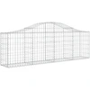 Image de vidaXL Gabion avec arc surélevé 200x30x60/80 cm Fer galvanisé
