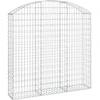 Image de vidaXL Gabion avec arc surélevé 150x30x140/160 cm Fer galvanisé