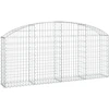 Image de vidaXL Gabion avec arc surélevé 200x30x80/100 cm Fer galvanisé