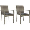 Image de vidaXL Chaises de jardin avec coussins 2 pcs. Poly rotin gris